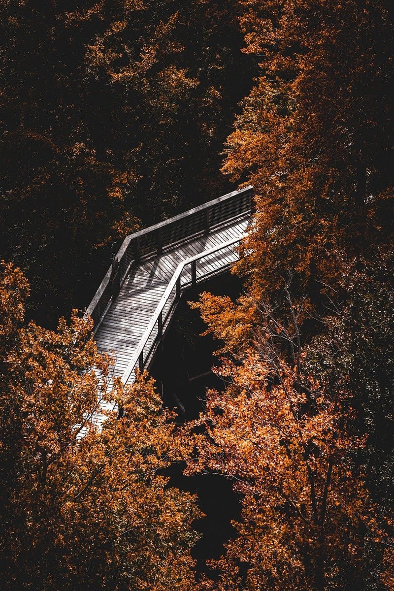 Meditation Image